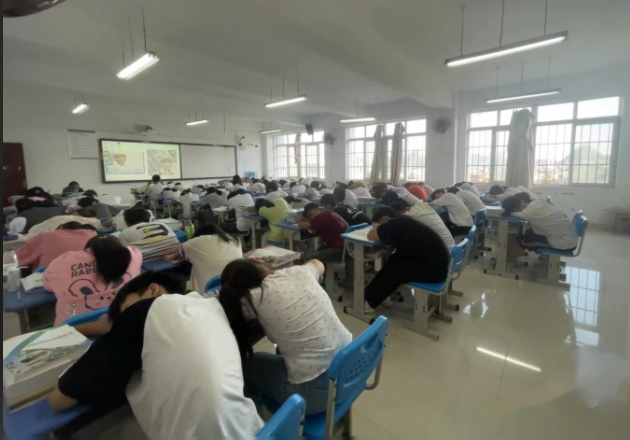 实际操作在内的多样化职业启蒙课