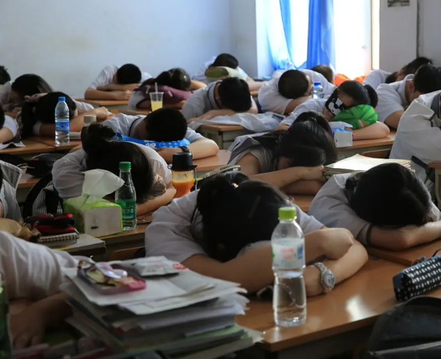 不同学段的特色设计出既契合学生