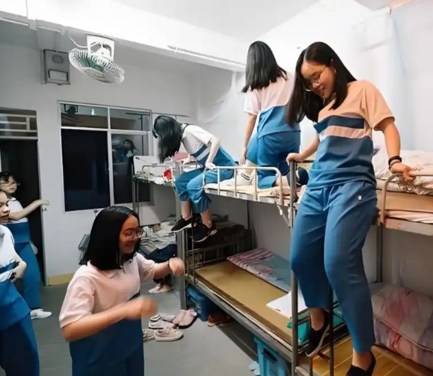 开发与使用在实践教育课程开发教